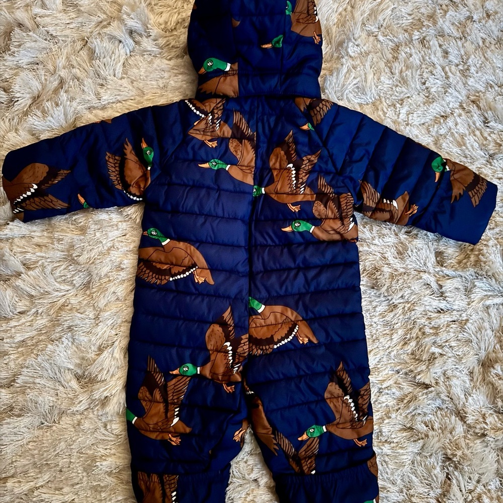 Toddler Boy Snowsuit Puffer Mallard Duck Print - Blue